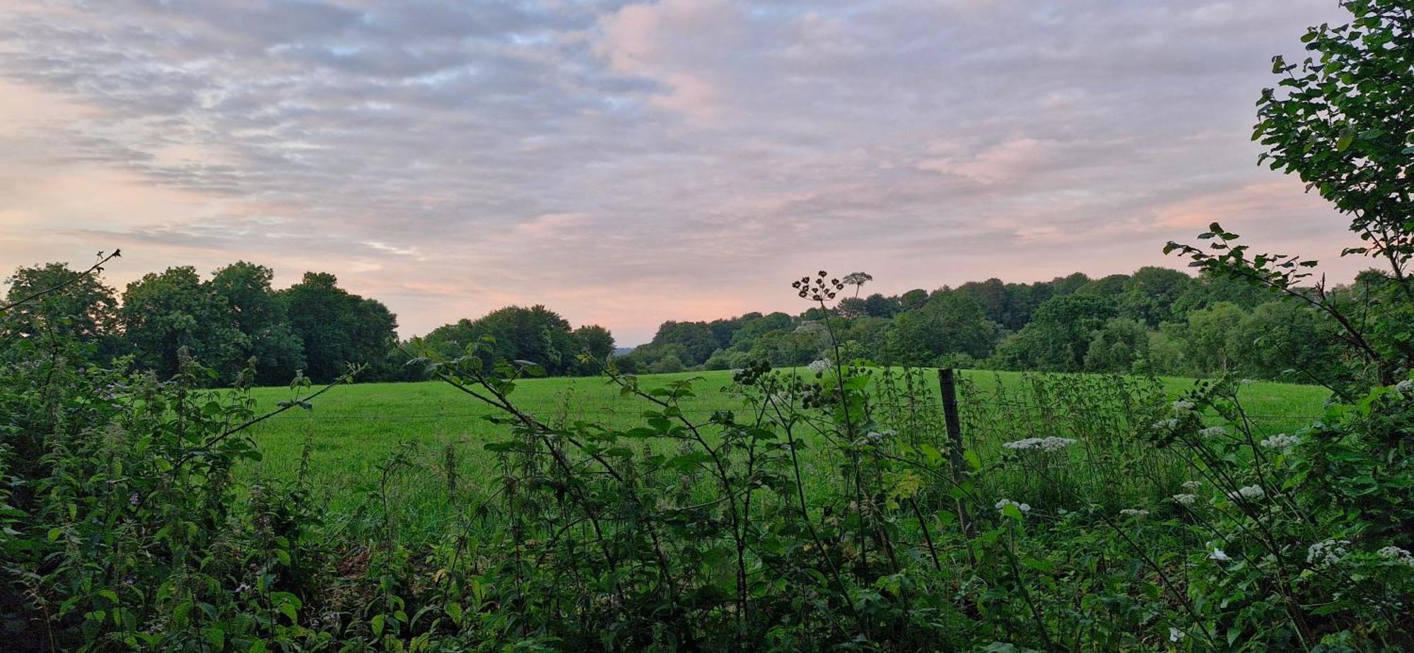 Le Vert Nomade Glomel Buitenkant foto